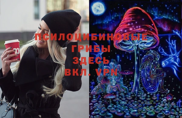 соль курить ск Белокуриха