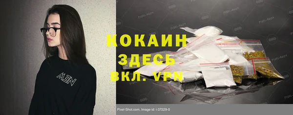 соль курить ск Белокуриха