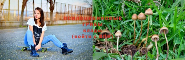 соль курить ск Белокуриха