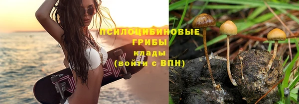 соль курить ск Белокуриха